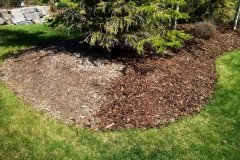 mulch top up in tree bed