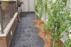 Boarders - black plastic edging to separate mulch and rocks
