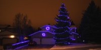 led-c9-blue-on-house-and-on-tree