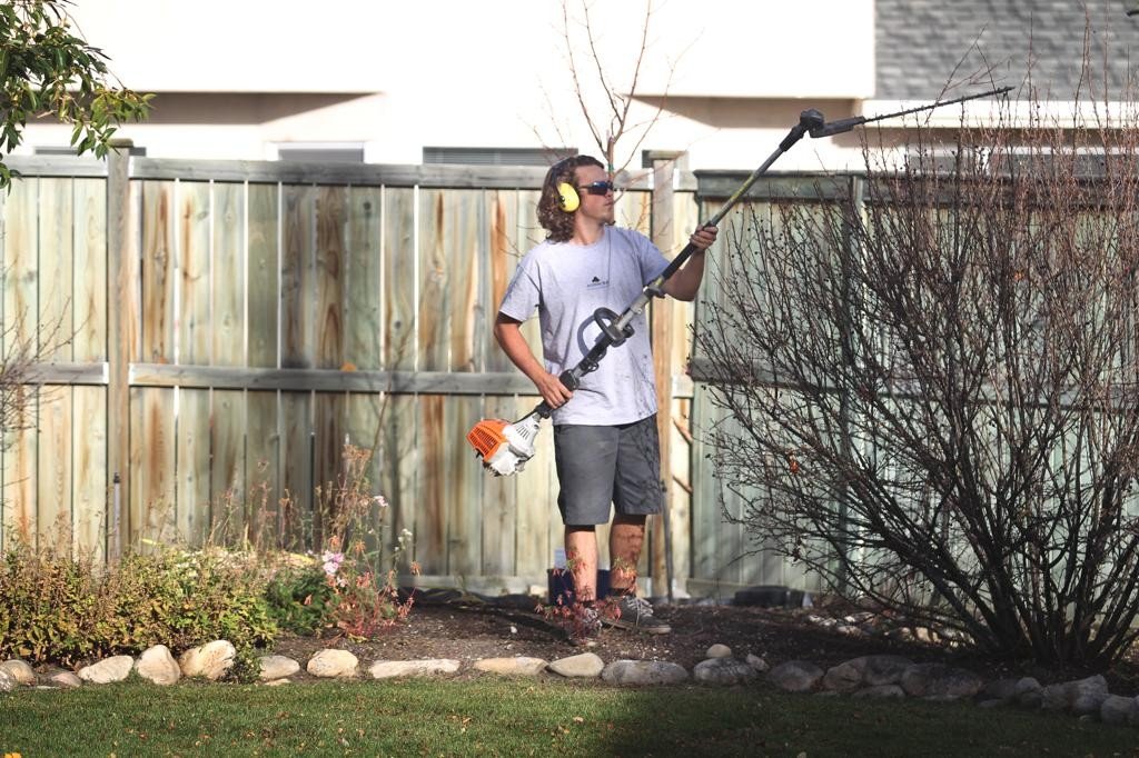 young man pruning shrub with hedge trimmers