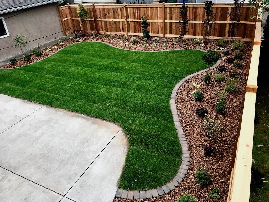 cedar fence and gates, new sod, mow brick border, curved beds - overhead