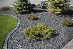 Charcoal cobble mow brick boarder with 20mm Rundle bed with evergreen trees and shrubs