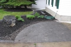 Borders - front bed rundle and black mulch