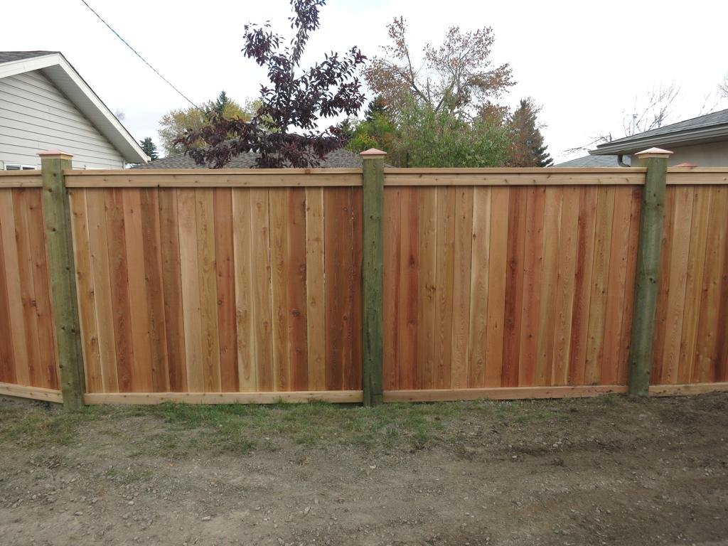 Fences - cedar friendly neighbour style fence with pressure treated posts with post caps