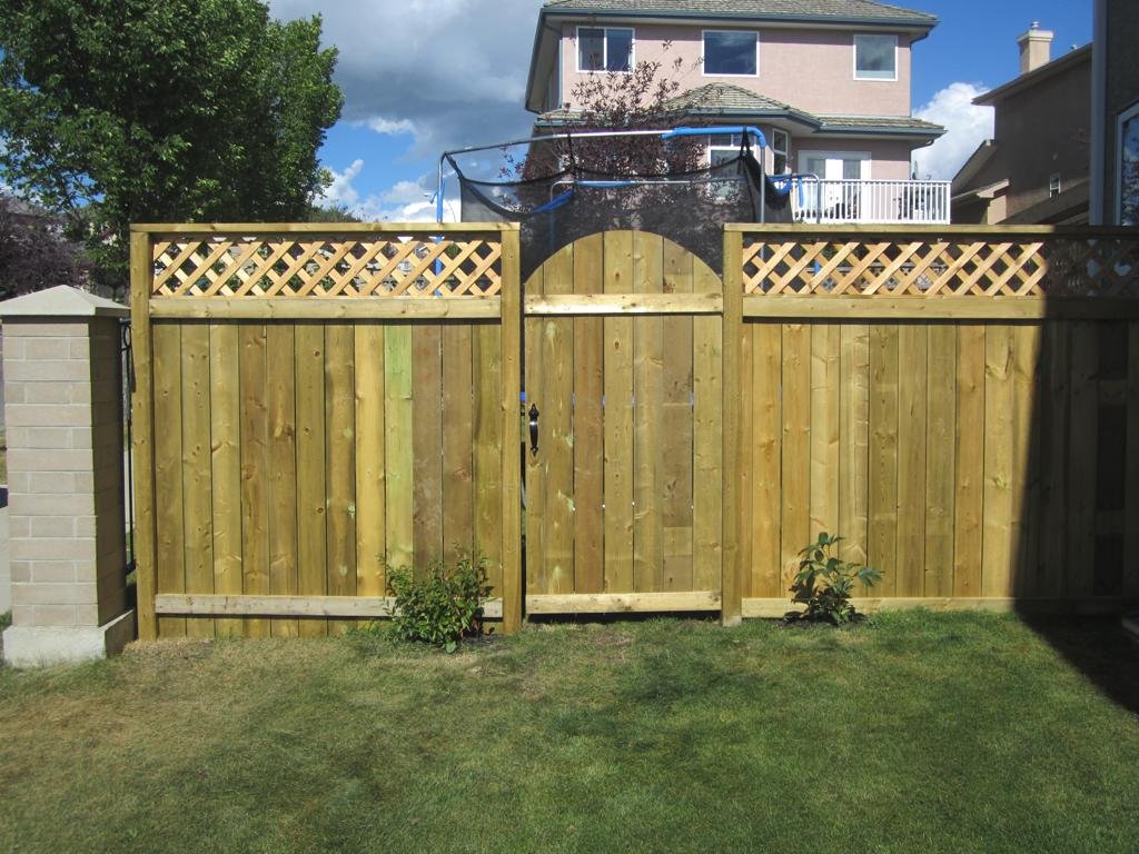 Fences - pressure treated lattice topped estate style fence with rounded gate