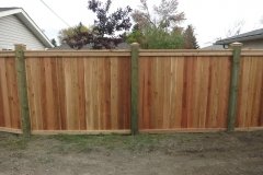 Fences - cedar friendly neighbour style fence with pressure treated posts with post caps