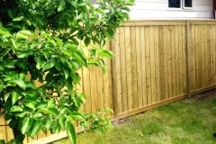 Fences - pressure treated fence
