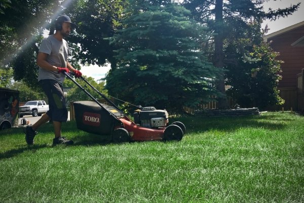 crew cutting grass