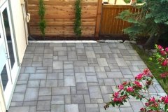 Cedar privacy lattice with columnar aspens to add privacy to the paving stone patio.