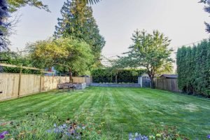 backyard lawn with cut lines on grass from lawn mower